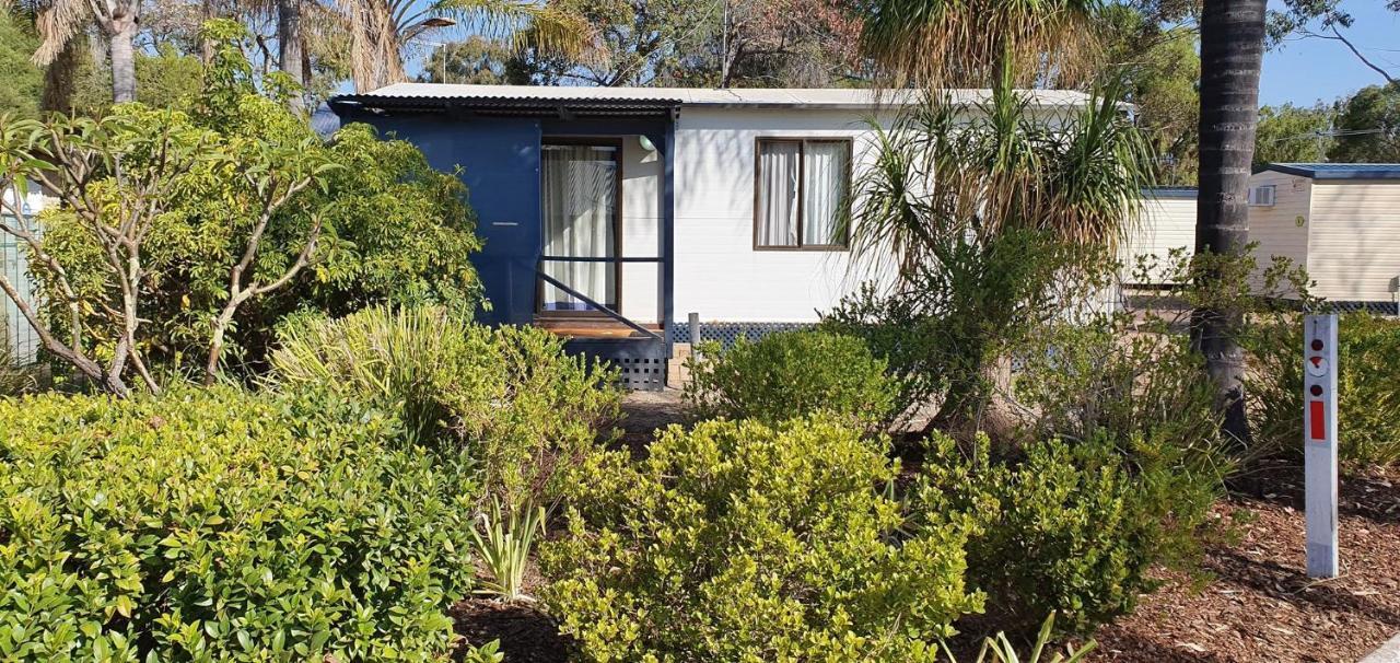 Pinjarra Caravan Park&Cabins Exteriör bild